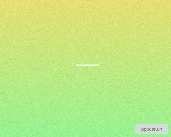 91网：连接无限可能，开启数字新纪元